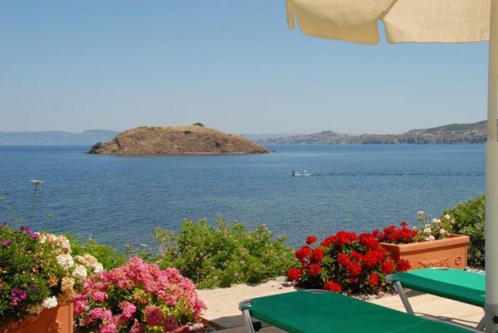 Birds Bay Resort Petra  Bagian luar foto