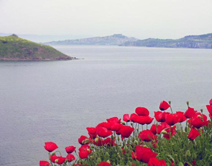 Birds Bay Resort Petra  Bagian luar foto